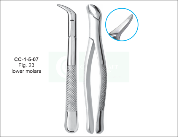 American Pattern Extracting Forcep - Fig 23 Lower Molars