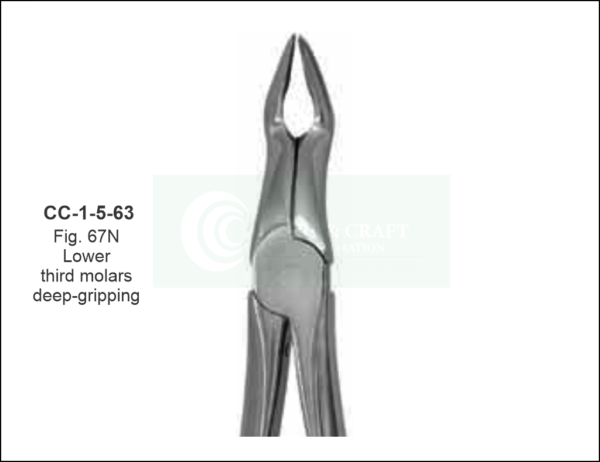 Deep Root Pick Forcep - Fig. 67N